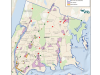 NYCDCP Report 090